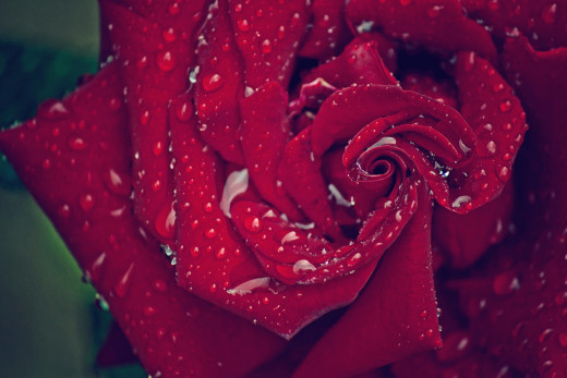 725104 (a): :2560x1707